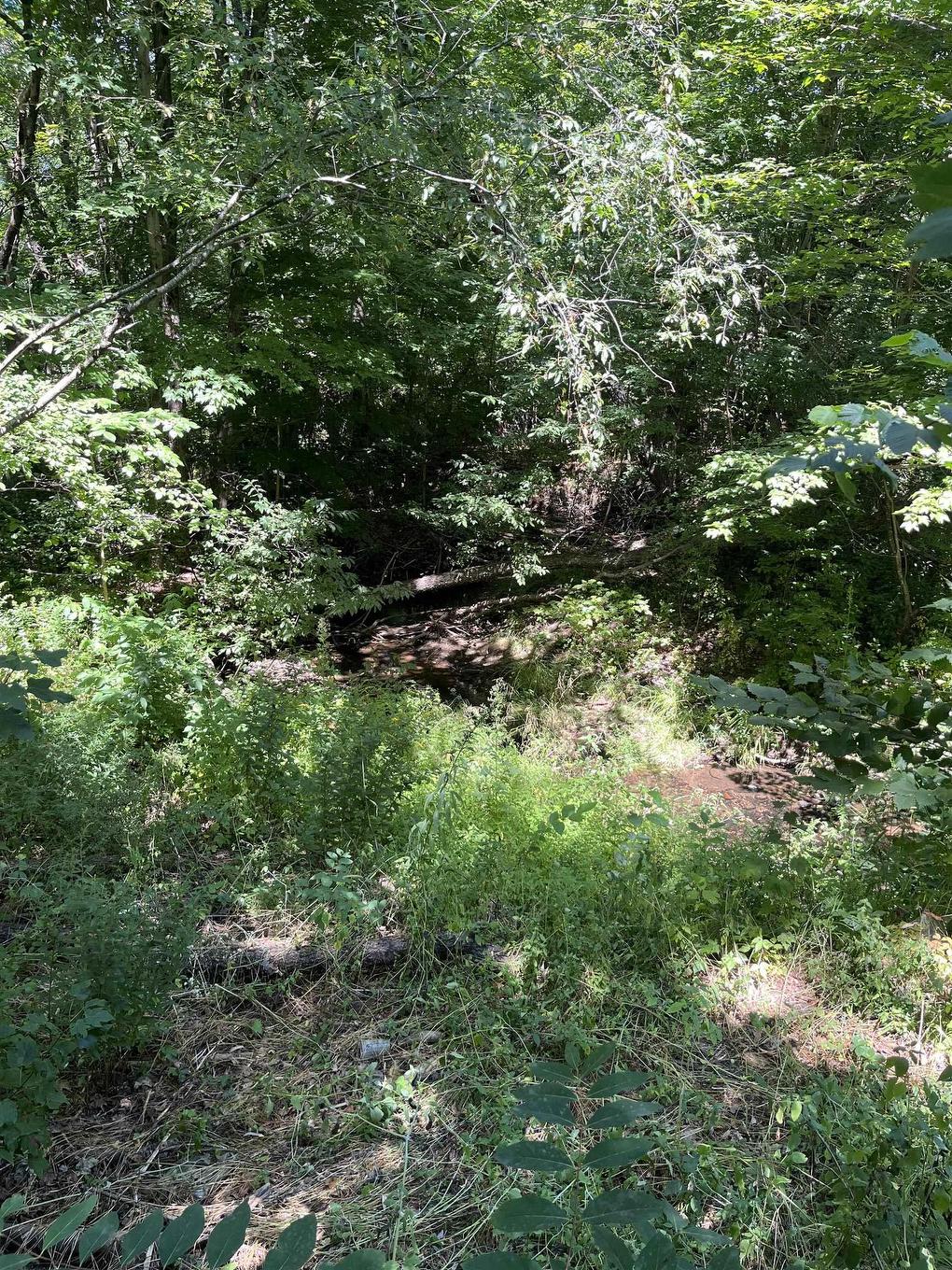 Lot C Ward Road, South Greenwood, NS