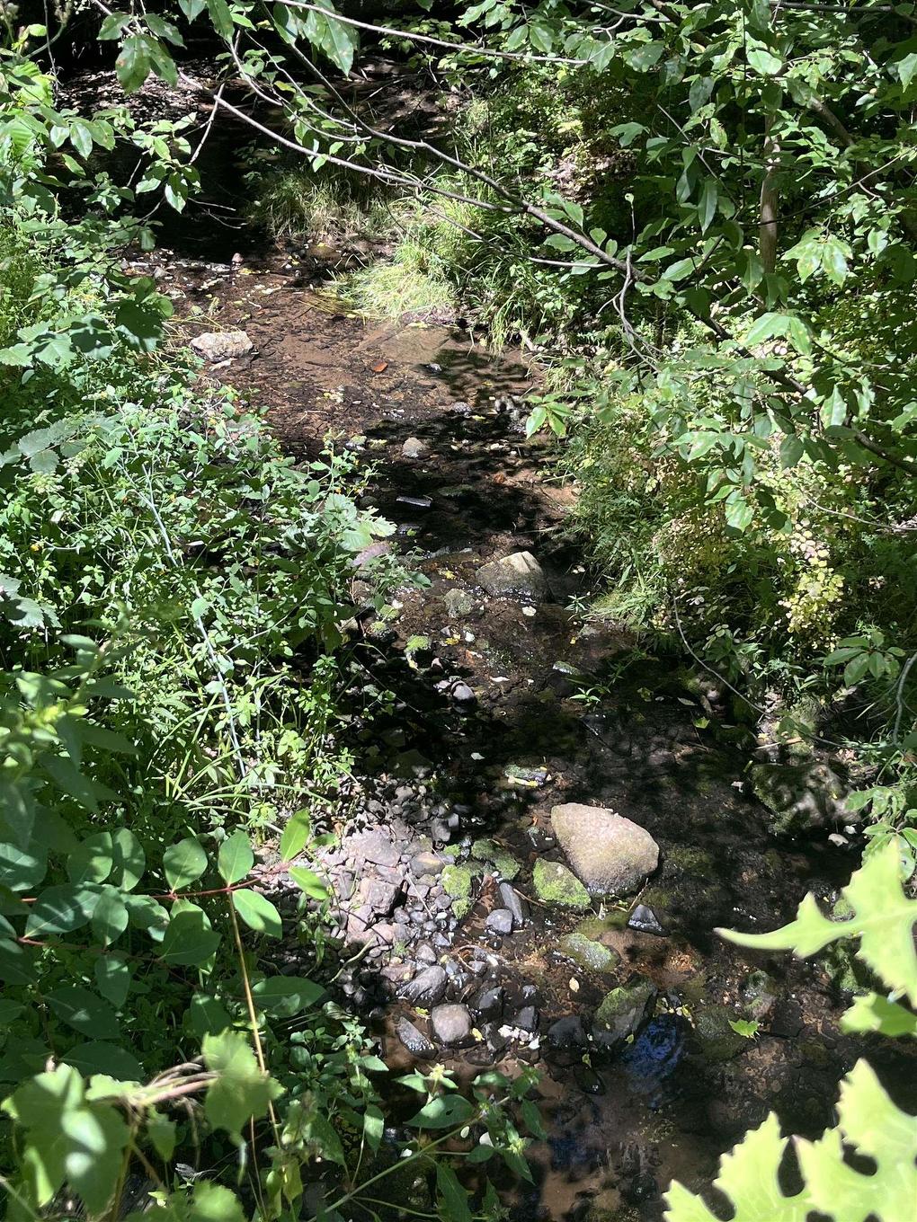 Lot C Ward Road, South Greenwood, NS