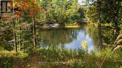 Little Seguin River tranquility -