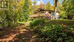 Worry free New Septic System -