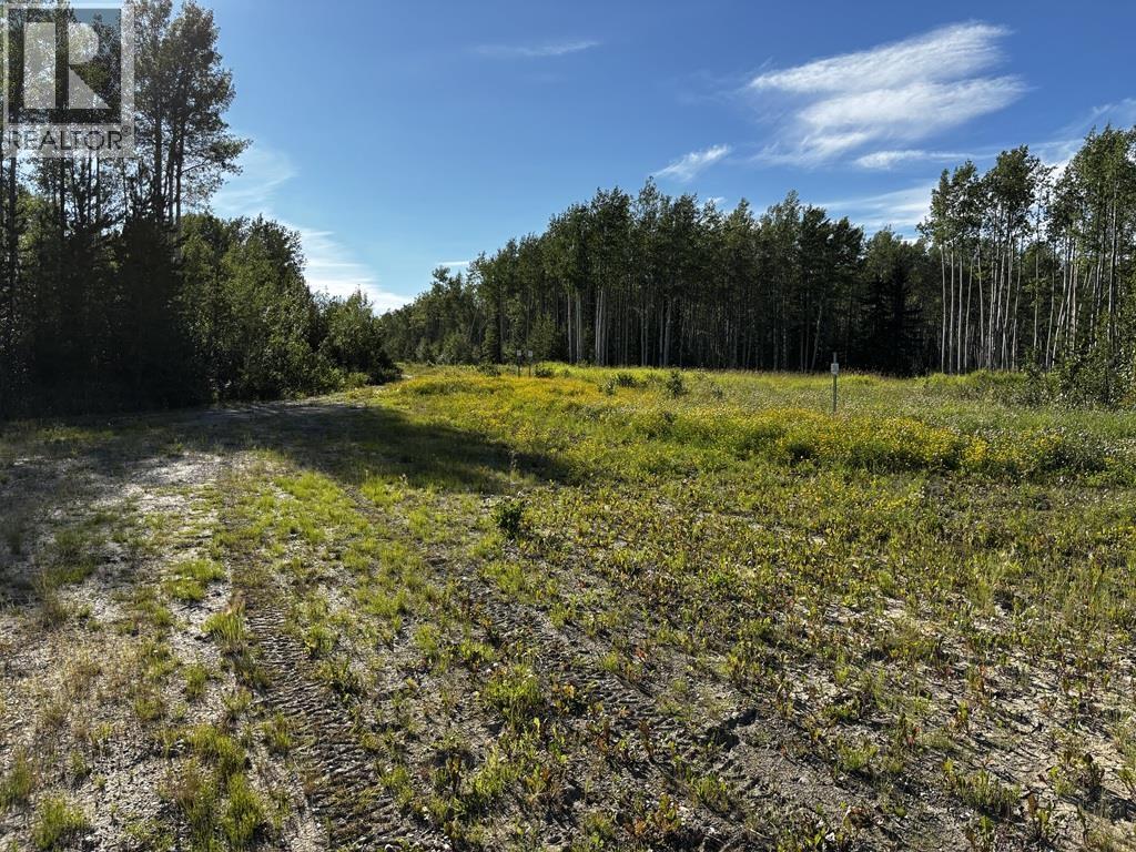 17408 279 Road, Fort St. John, BC