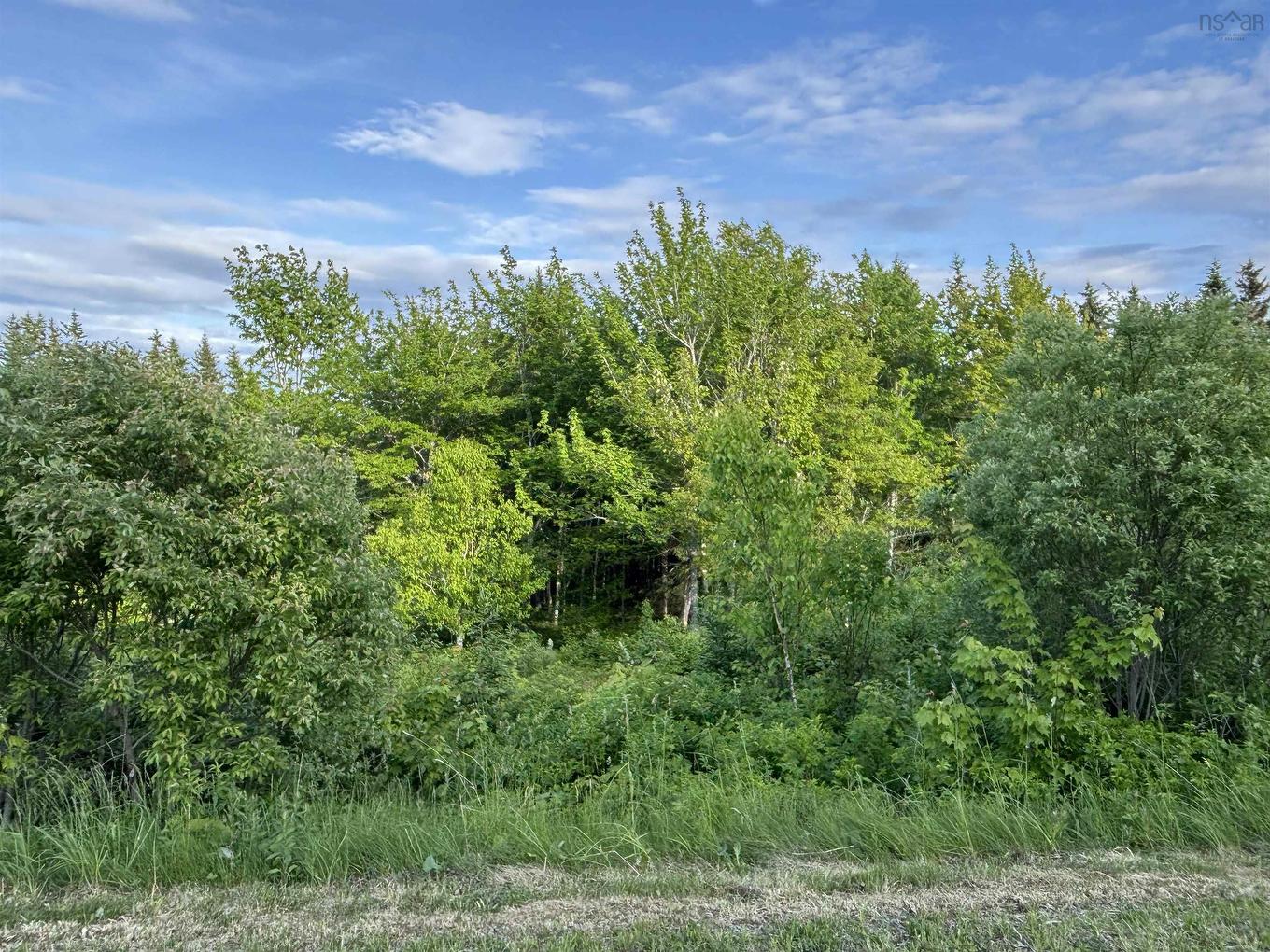 28 Parkland Place, Dalem Lake, NS