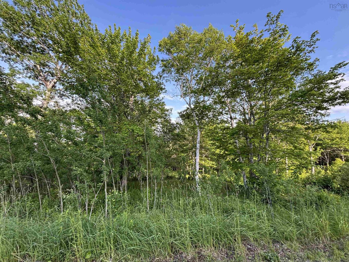 29 Parkland Place, Dalem Lake, NS