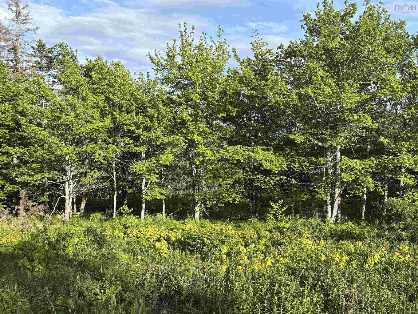 31 Parkland Place, Dalem Lake, NS