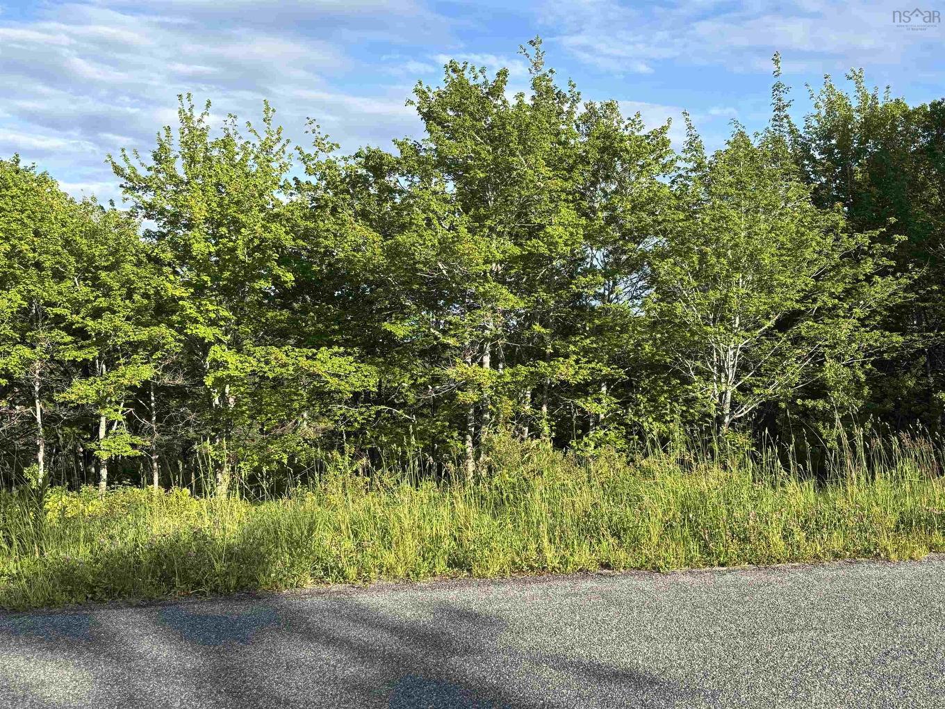 31 Parkland Place, Dalem Lake, NS