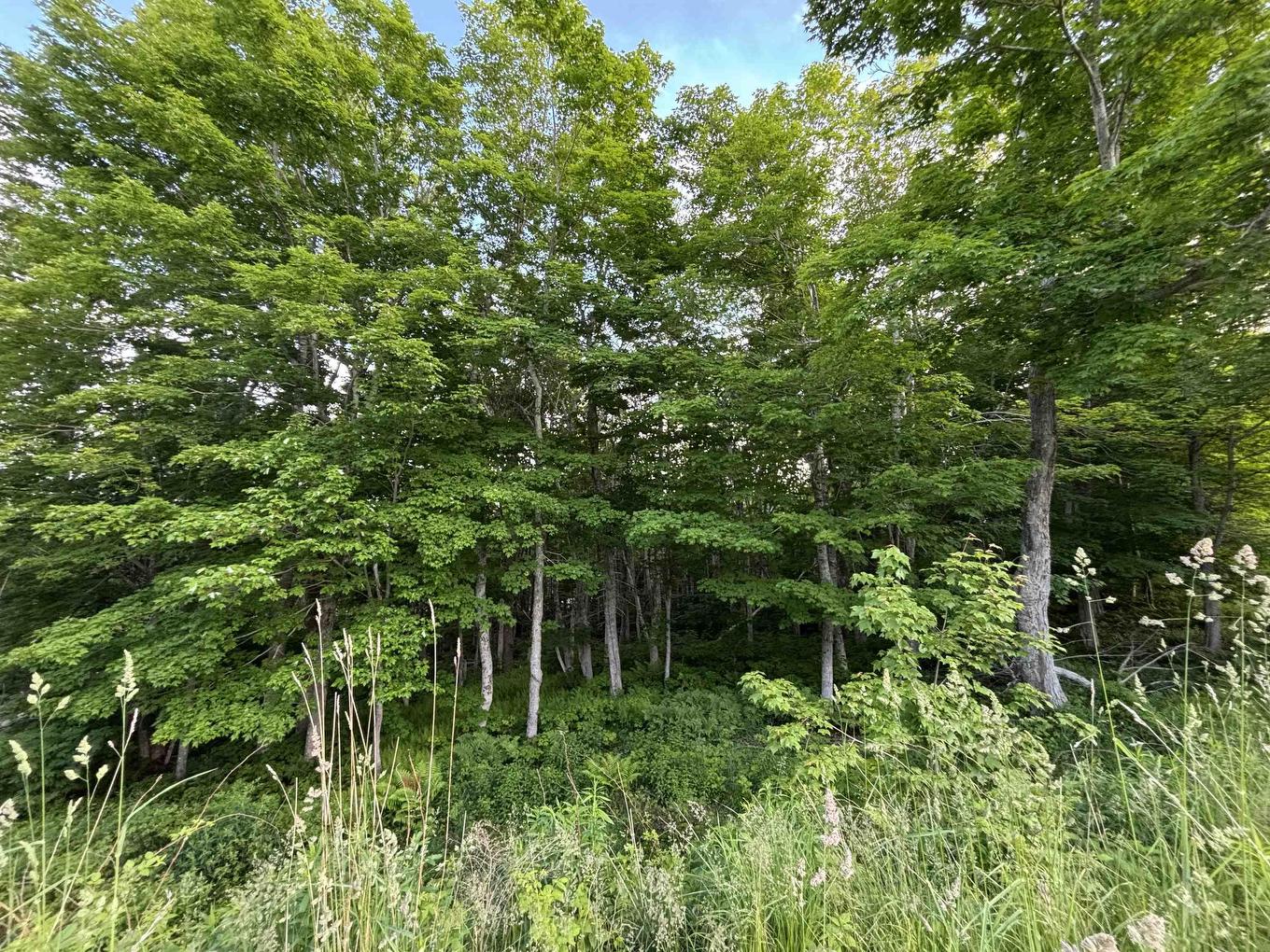 24 Parkland Place, Dalem Lake, NS