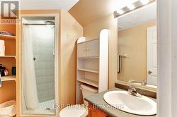 Lower Level Bath -