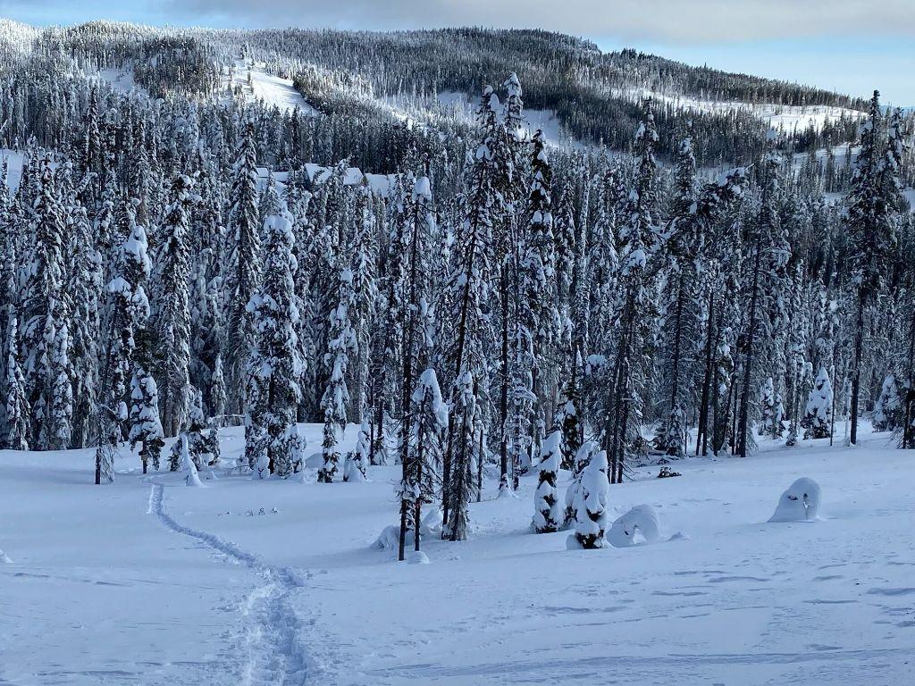 150 Porcupine Road, Oliver, BC - Outdoor With View