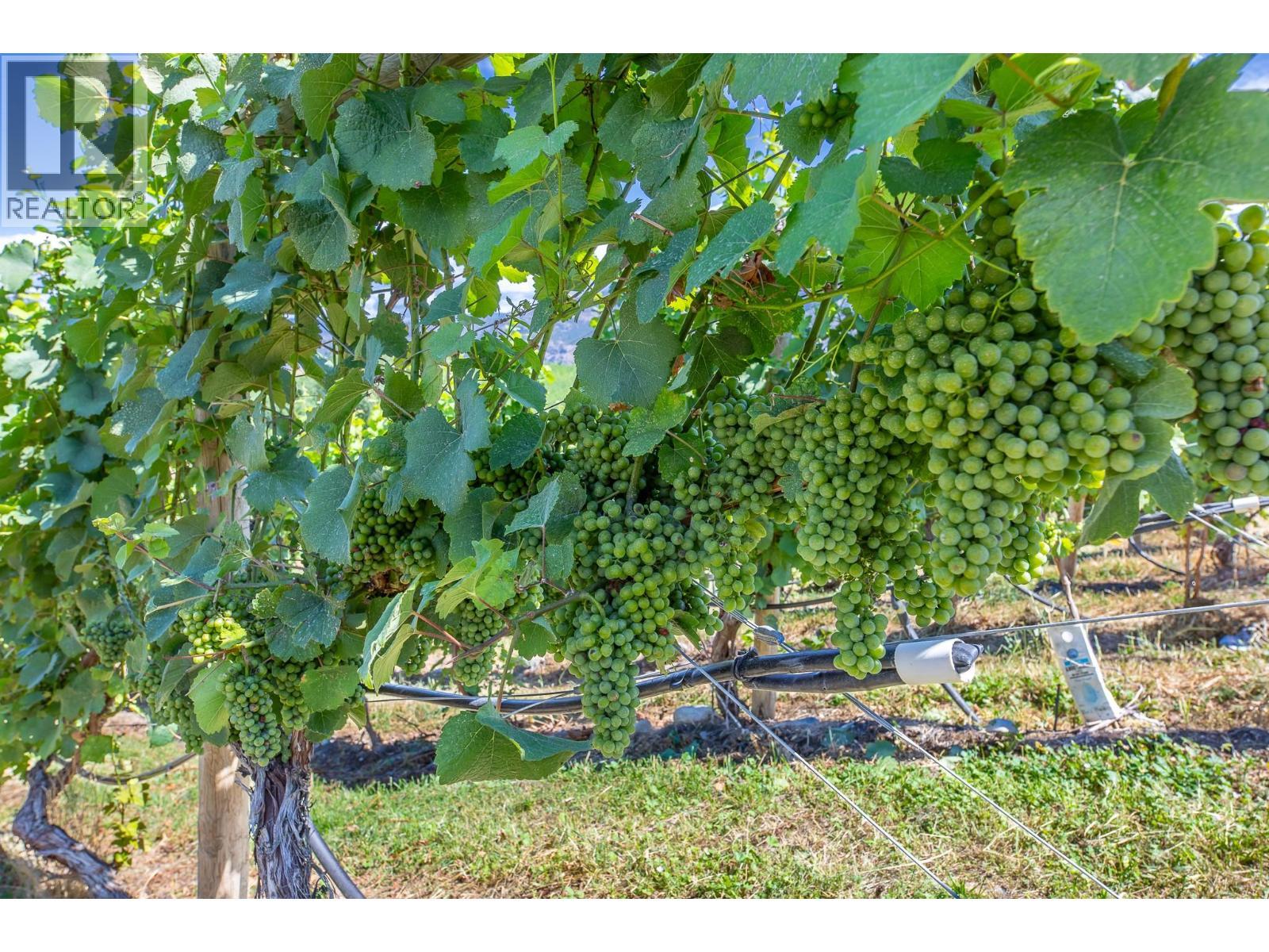 140 Larch Avenue, Kaleden, BC