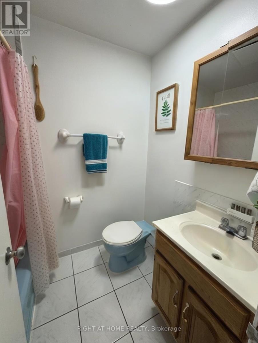 2 - 222 Lyon Street N, Ottawa, ON - Indoor Photo Showing Bathroom