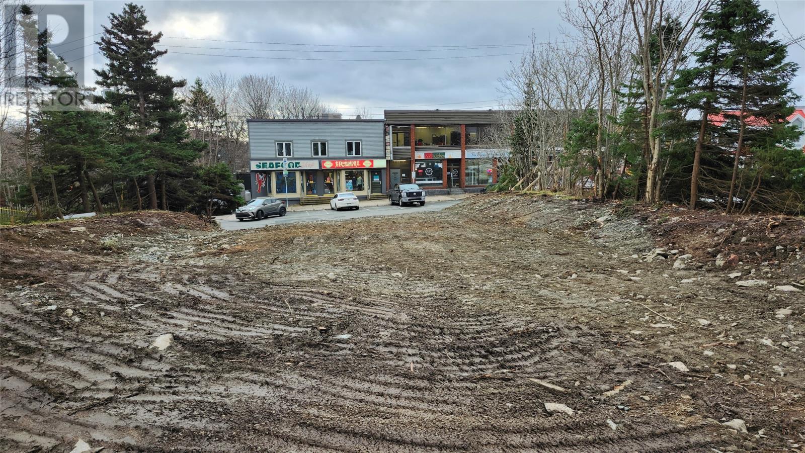 4 Rowan Street, St. John'S, NL