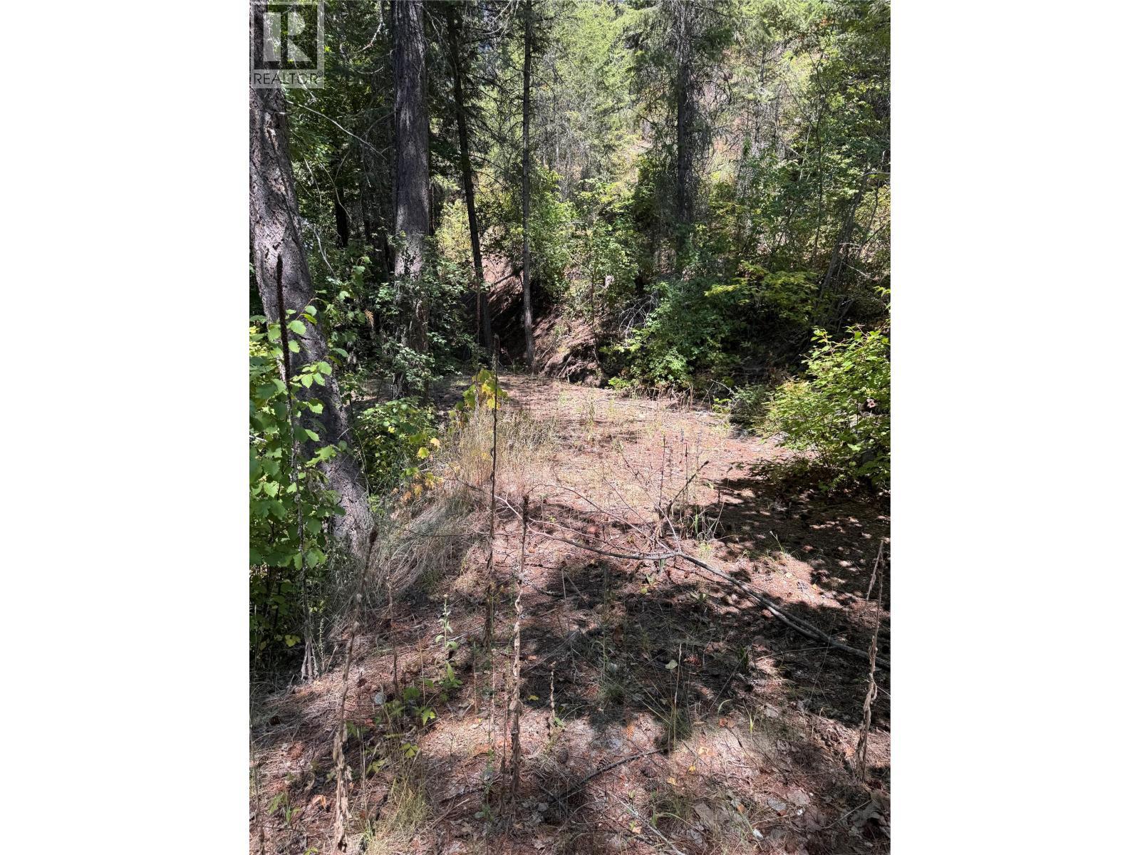 2160 3 Highway, Christina Lake, BC - Outdoor With View