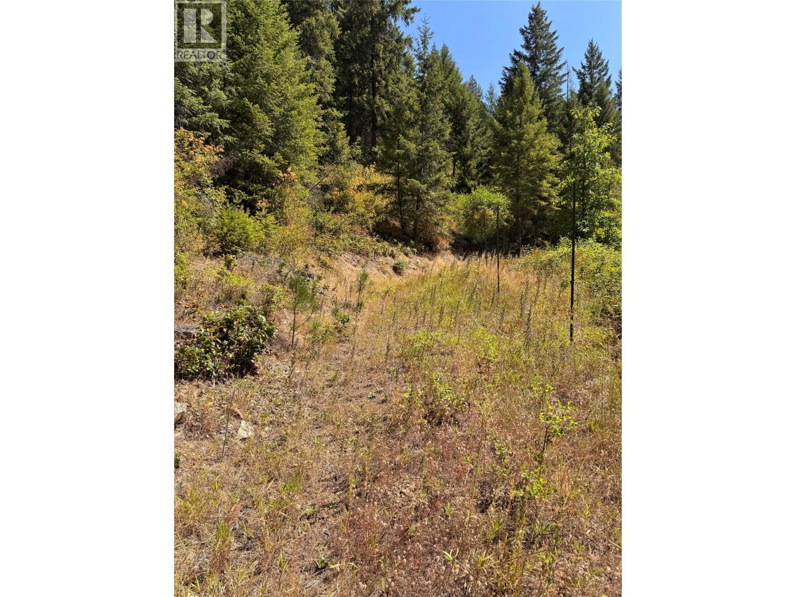 2160 3 Highway, Christina Lake, BC - Outdoor With View