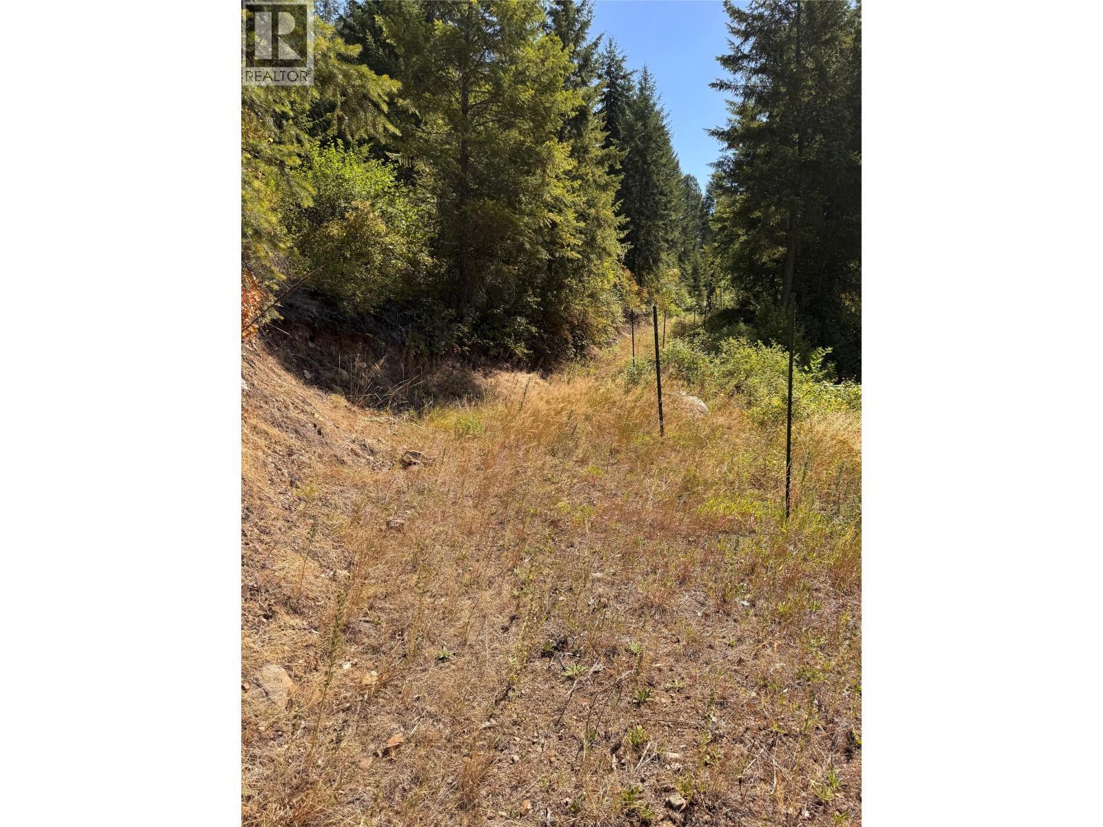 2160 3 Highway, Christina Lake, BC - Outdoor With View
