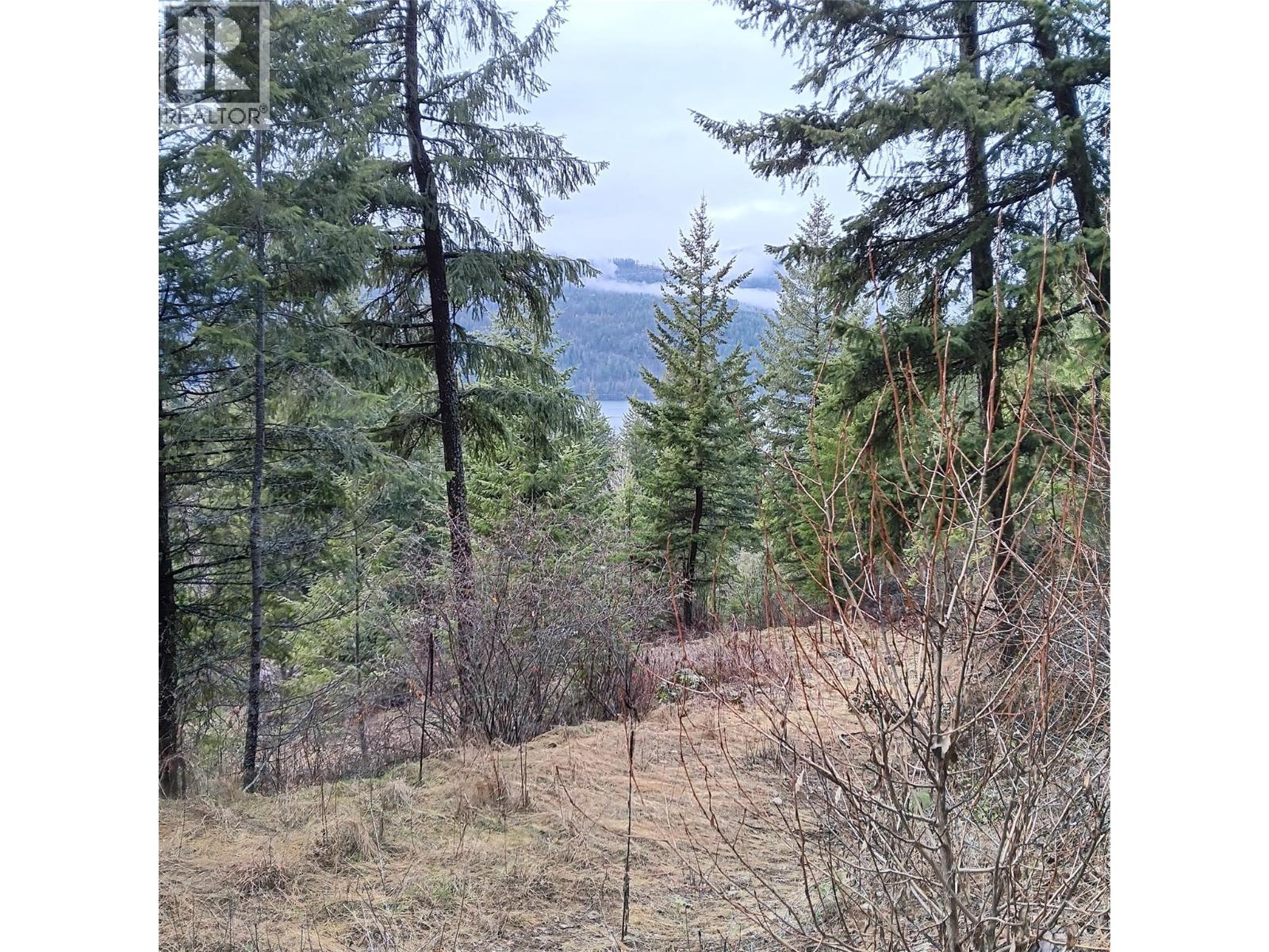 2160 3 Highway, Christina Lake, BC - Outdoor With View
