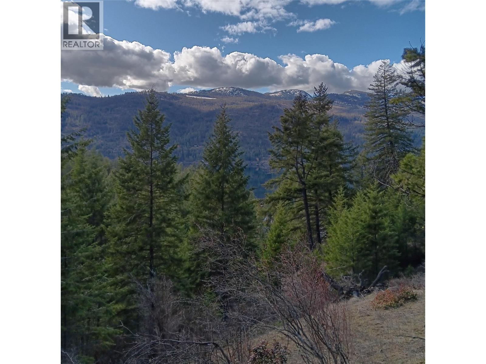 2160 3 Highway, Christina Lake, BC - Outdoor With View