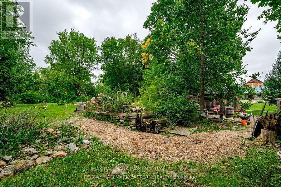 3404 Base Line, Otonabee-South Monaghan, ON - Outdoor