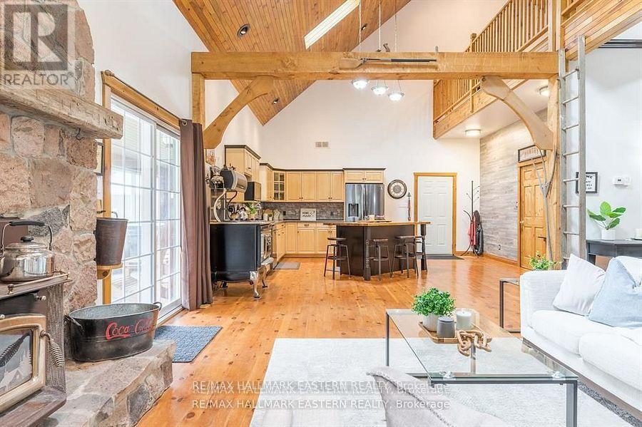 3404 Base Line, Otonabee-South Monaghan, ON - Indoor Photo Showing Living Room With Fireplace