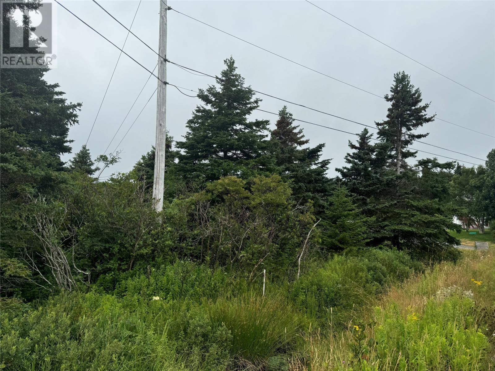 17 Crowes Lane, Torbay, NL