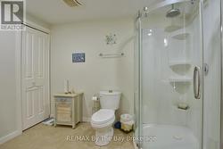 Lower Level Bathroom -