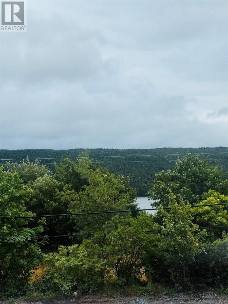 1253 Main Road, Dunville, NL