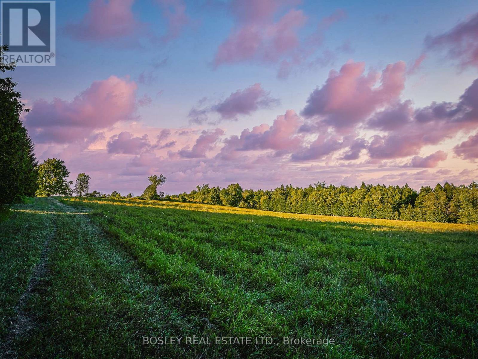 41 Silver Heights Drive, Trent Hills (Hastings), ON