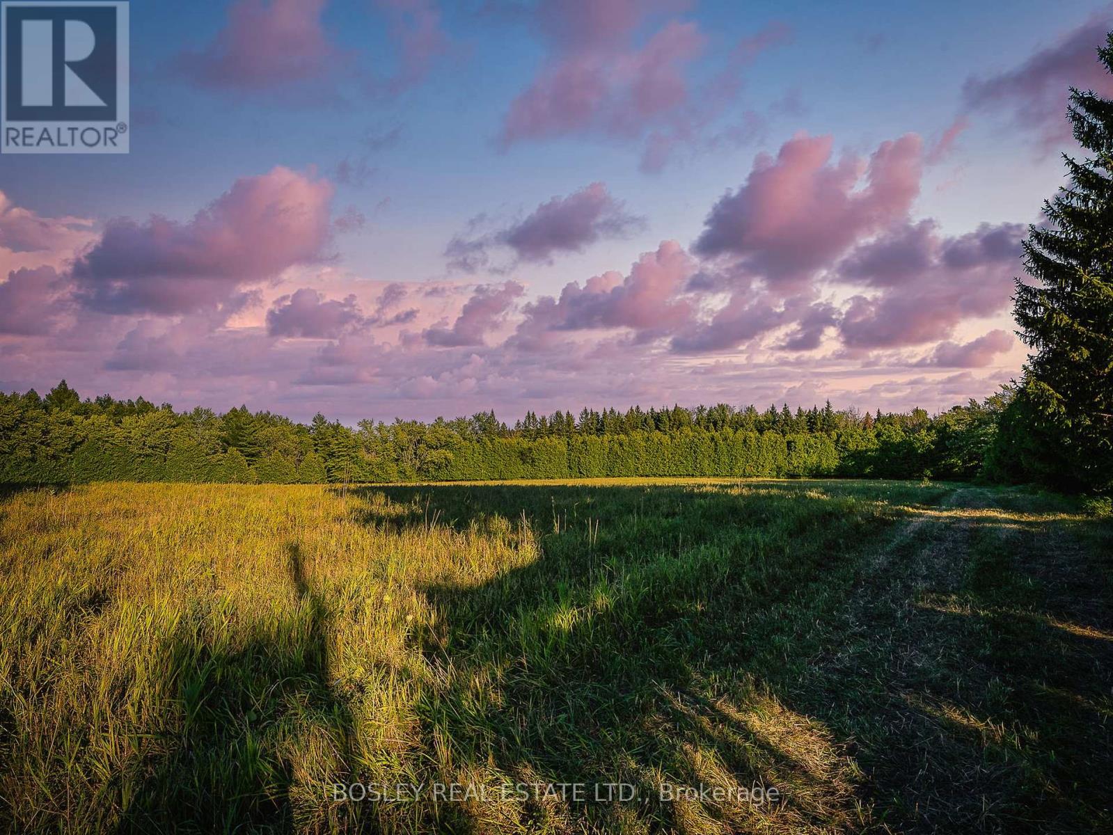 41 Silver Heights Drive, Trent Hills (Hastings), ON