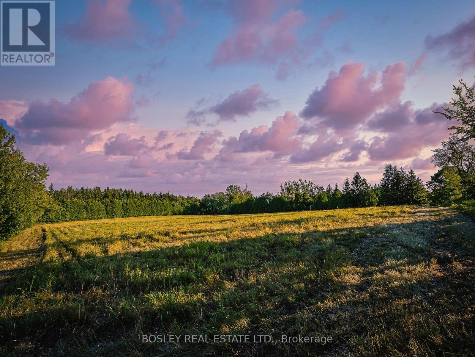 41 Silver Heights Drive, Trent Hills (Hastings), ON