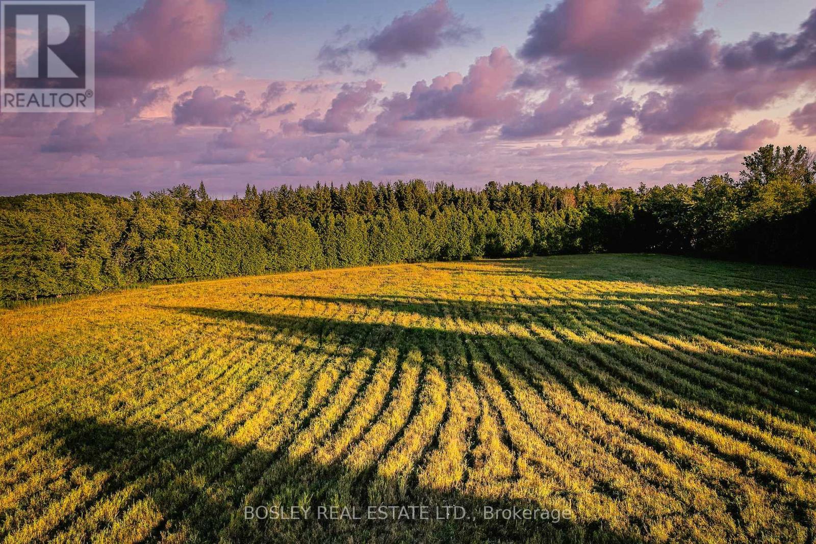 41 Silver Heights Drive, Trent Hills (Hastings), ON