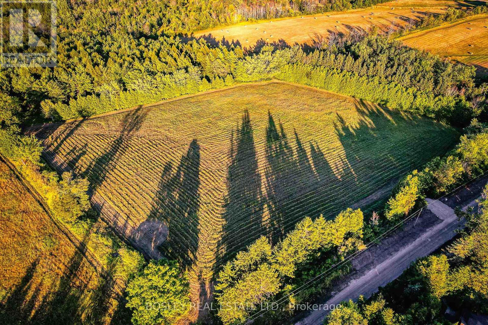 41 Silver Heights Drive, Trent Hills (Hastings), ON