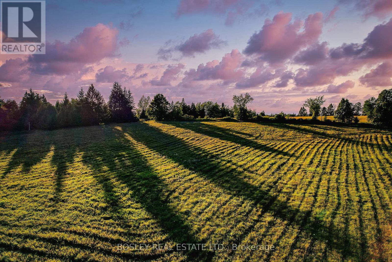 41 Silver Heights Drive, Trent Hills (Hastings), ON