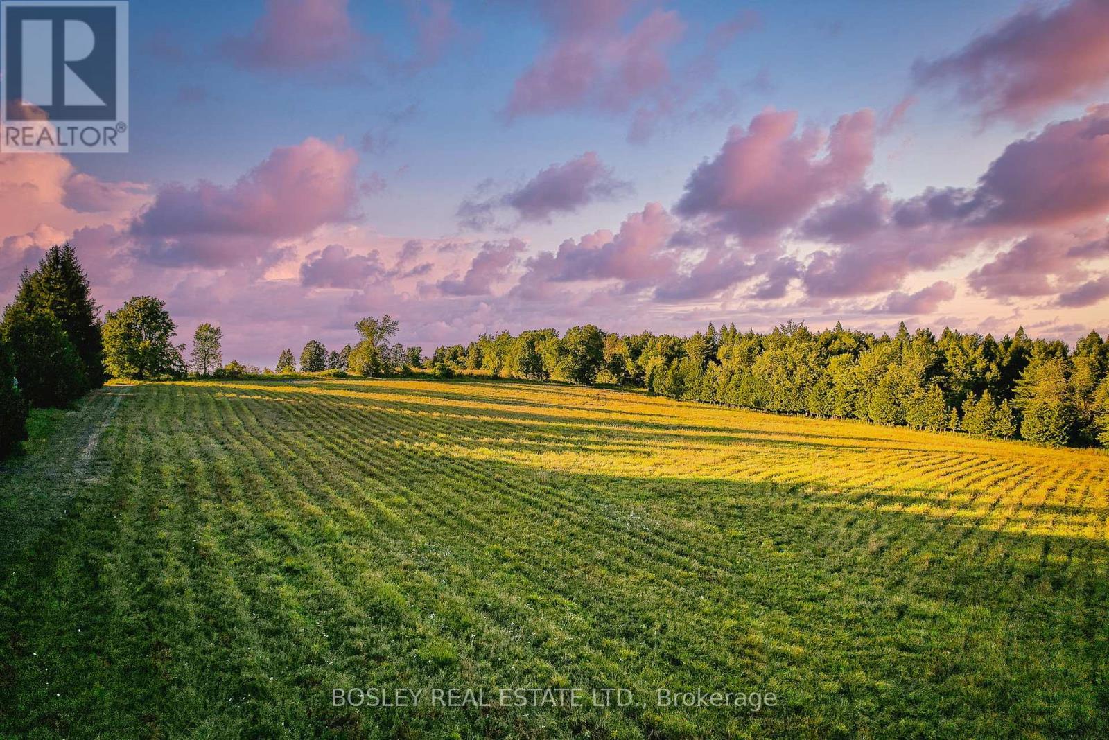 41 Silver Heights Drive, Trent Hills (Hastings), ON