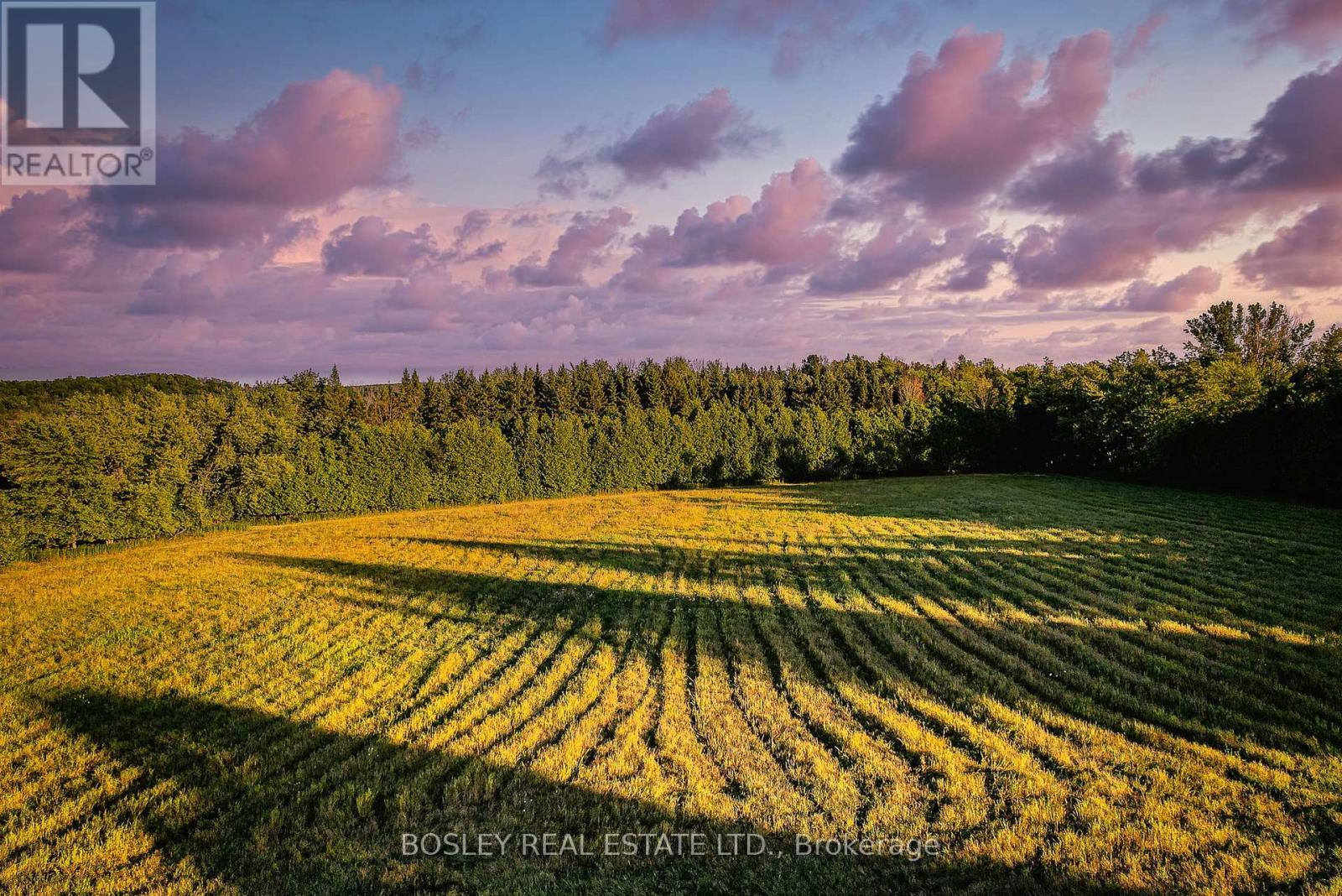 41 Silver Heights Drive, Trent Hills (Hastings), ON