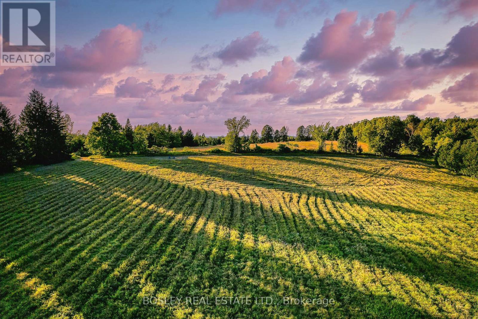 41 Silver Heights Drive, Trent Hills (Hastings), ON