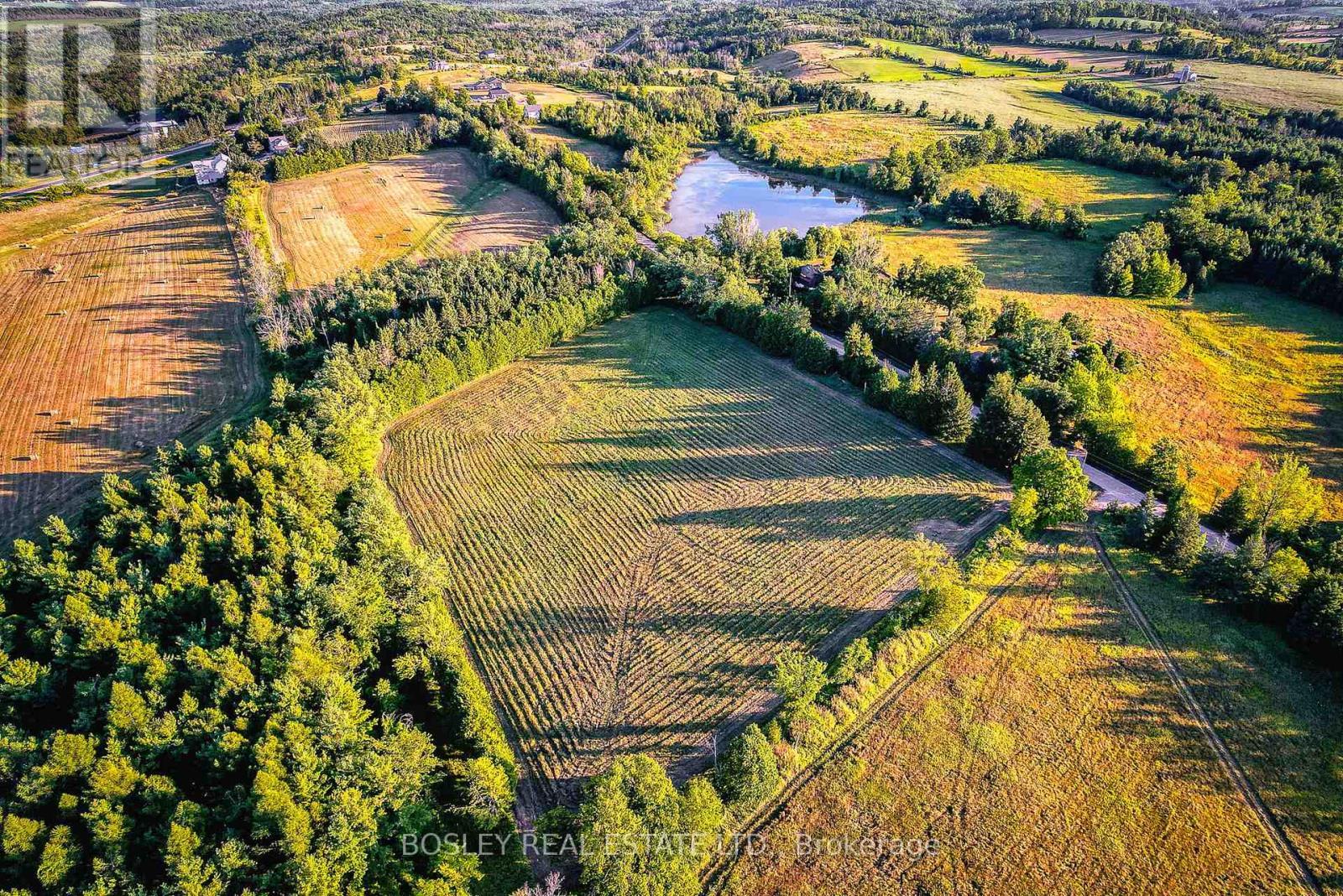 41 Silver Heights Drive, Trent Hills (Hastings), ON