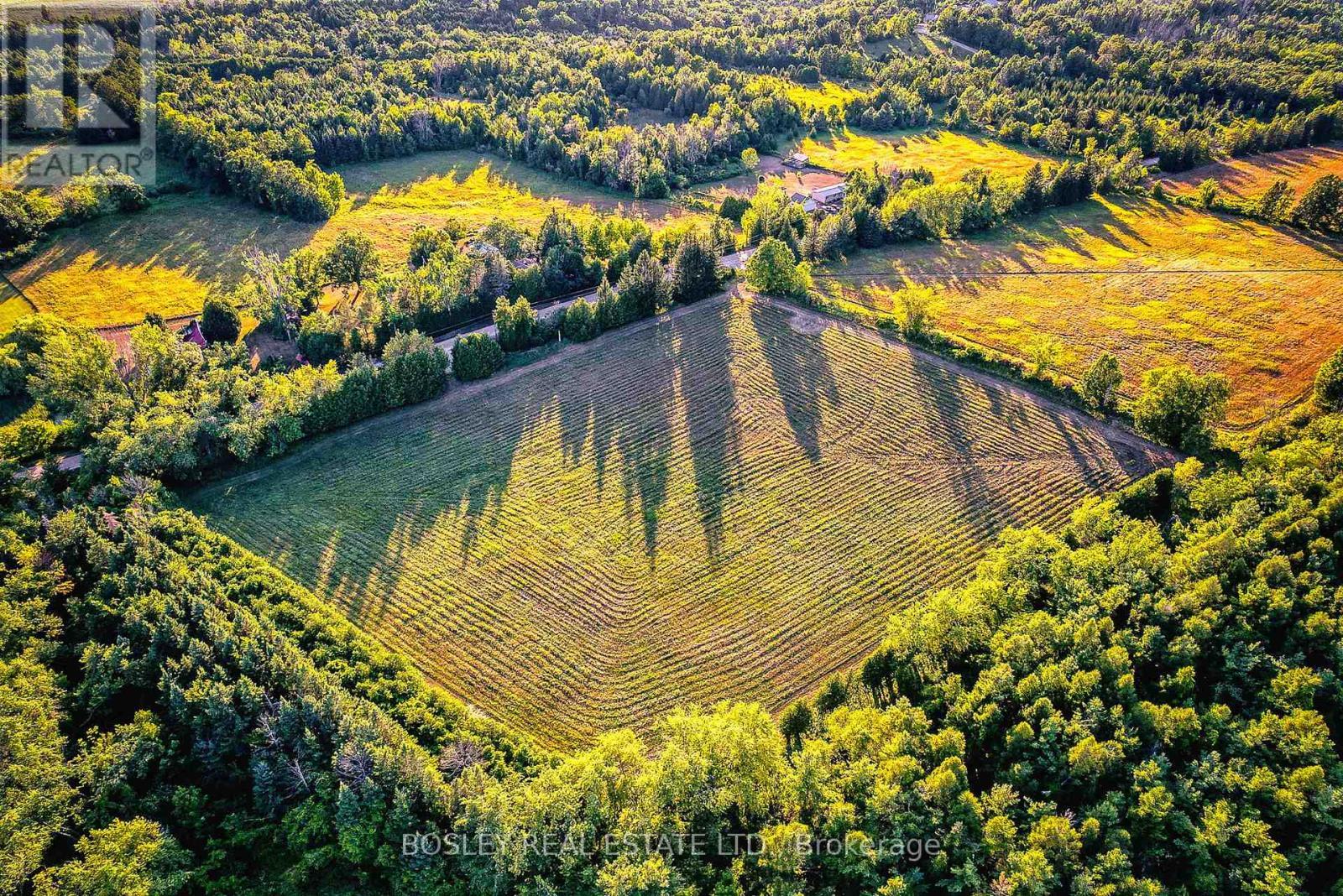 41 Silver Heights Drive, Trent Hills (Hastings), ON