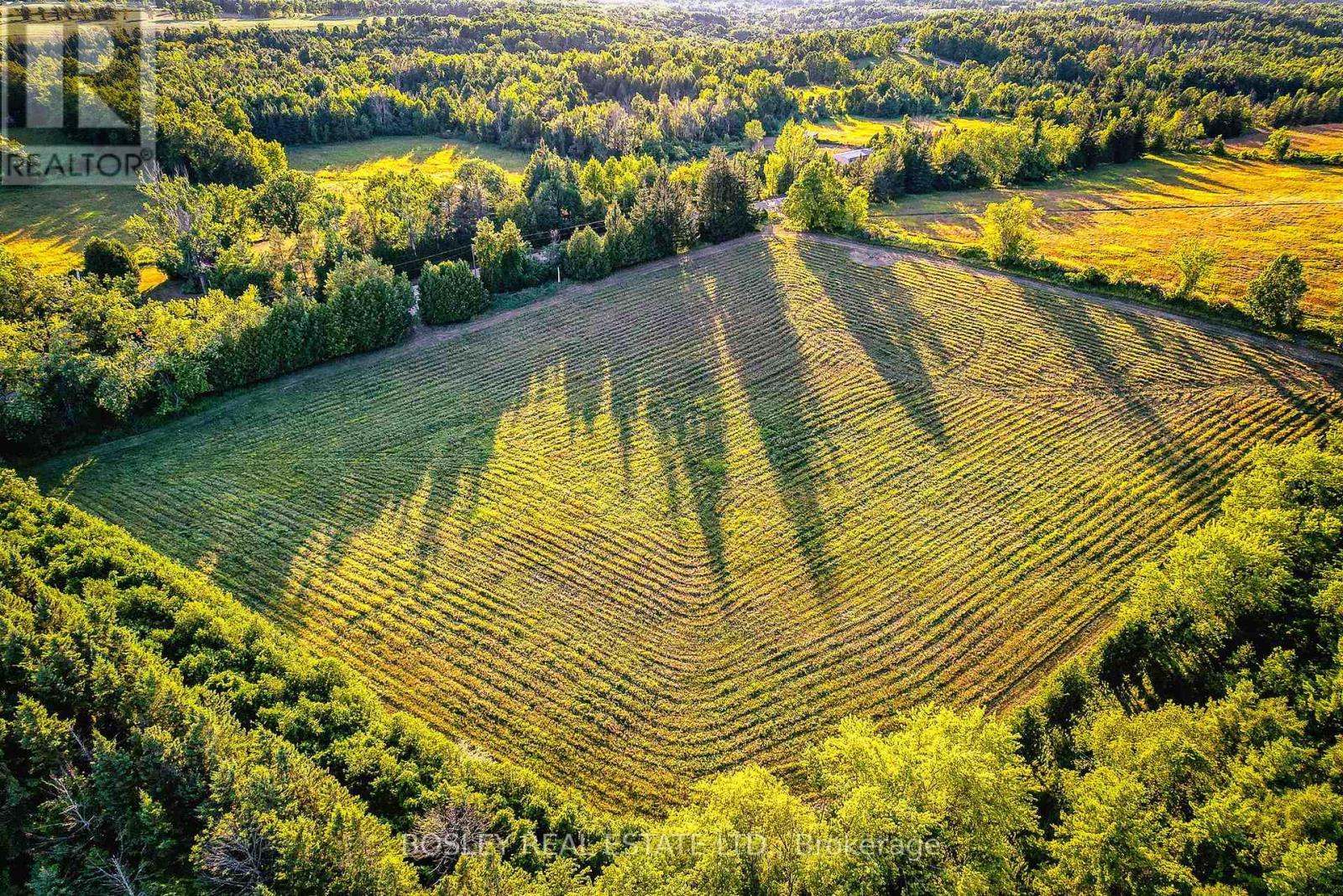 41 Silver Heights Drive, Trent Hills (Hastings), ON