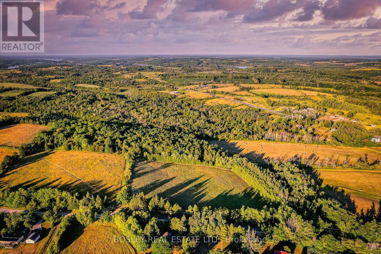 41 Silver Heights Drive, Trent Hills (Hastings), ON