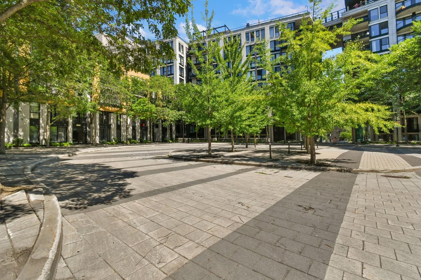 Backyard - P1-302-3419 Av. Henri-Julien, Montréal (Le Plateau-Mont-Royal), QC - Outdoor