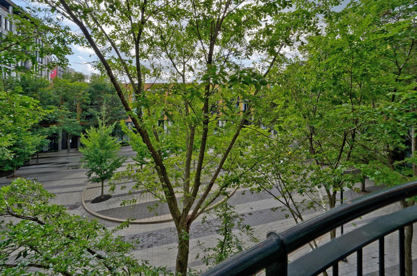 Overall view - P1-302-3419 Av. Henri-Julien, Montréal (Le Plateau-Mont-Royal), QC - Outdoor