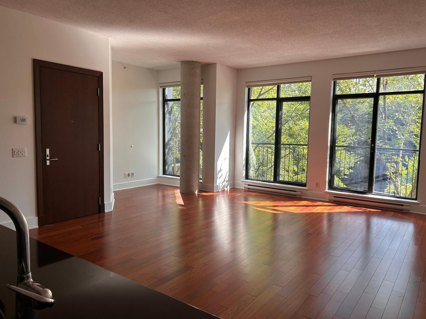 Living room - P1-302-3419 Av. Henri-Julien, Montréal (Le Plateau-Mont-Royal), QC - Indoor