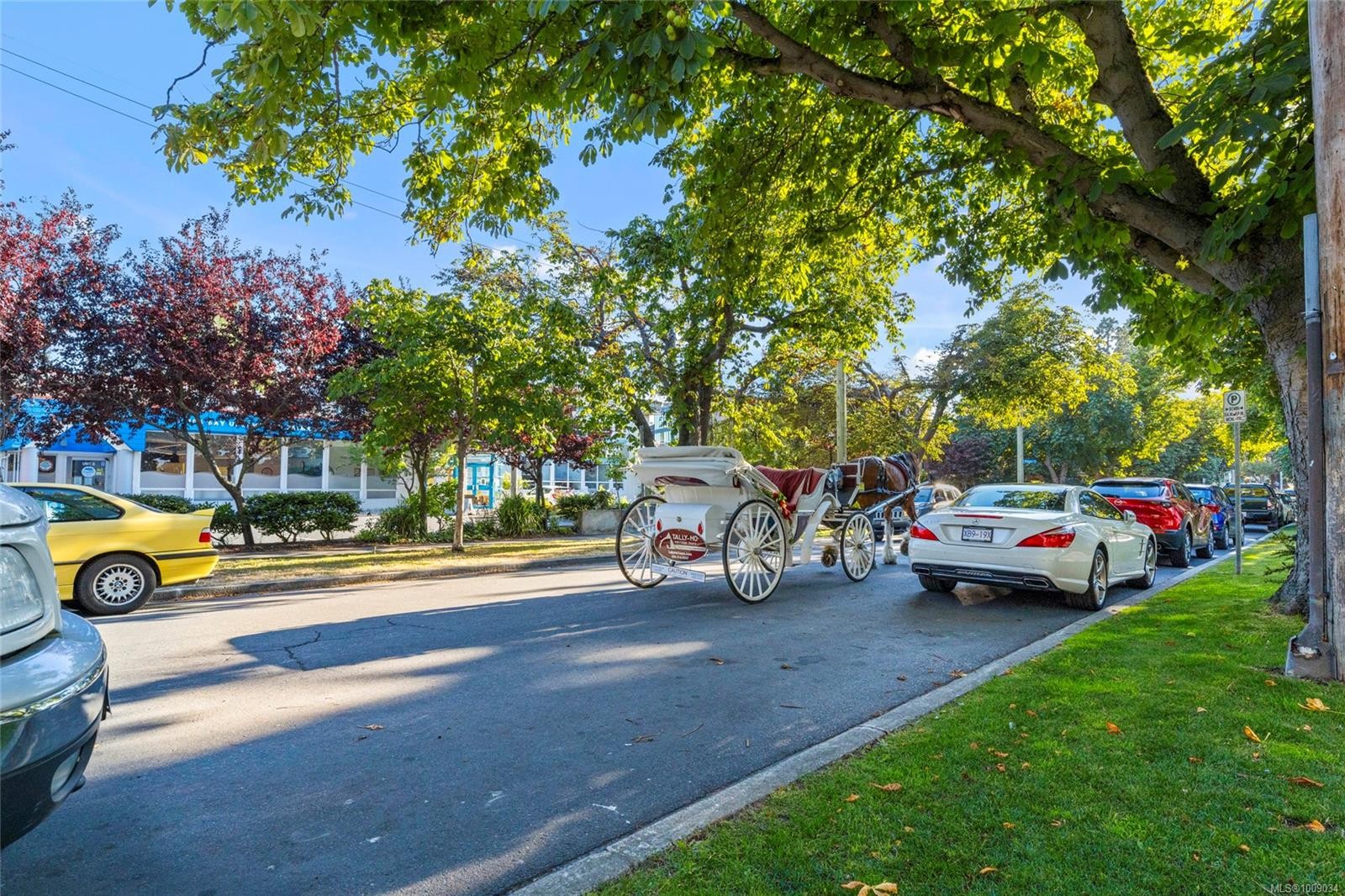 304-550 Michigan St, Victoria, BC - Outdoor