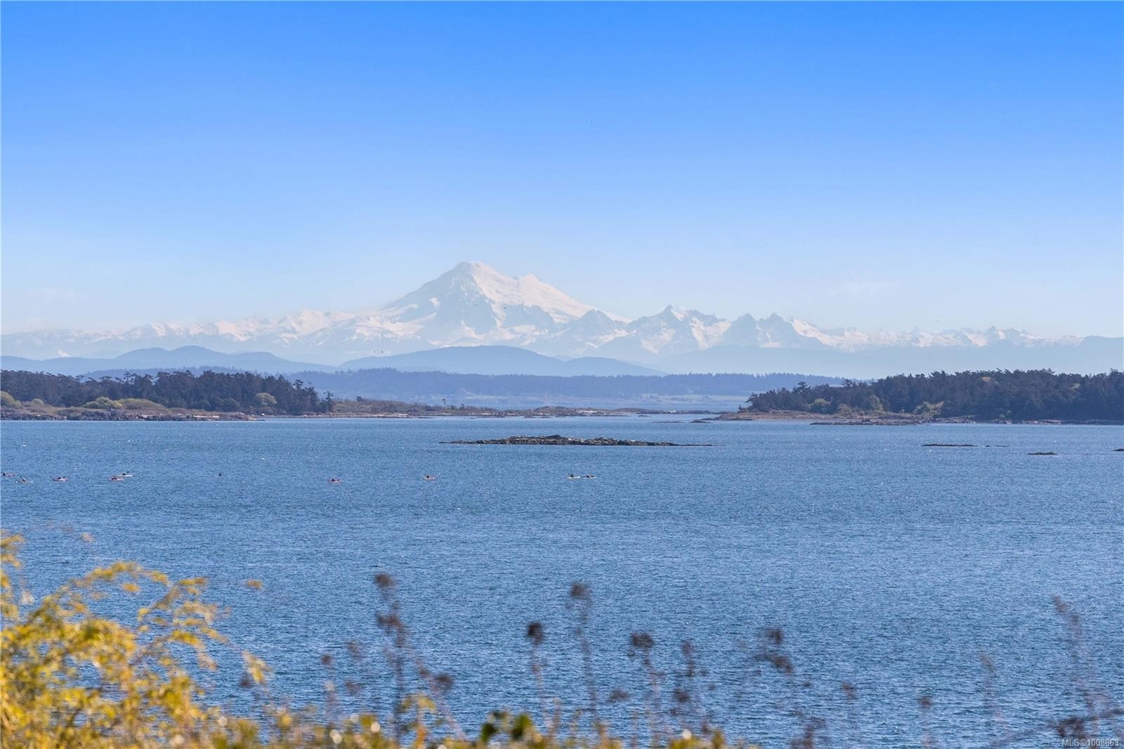 1069/1101 Beach Dr, Oak Bay, BC