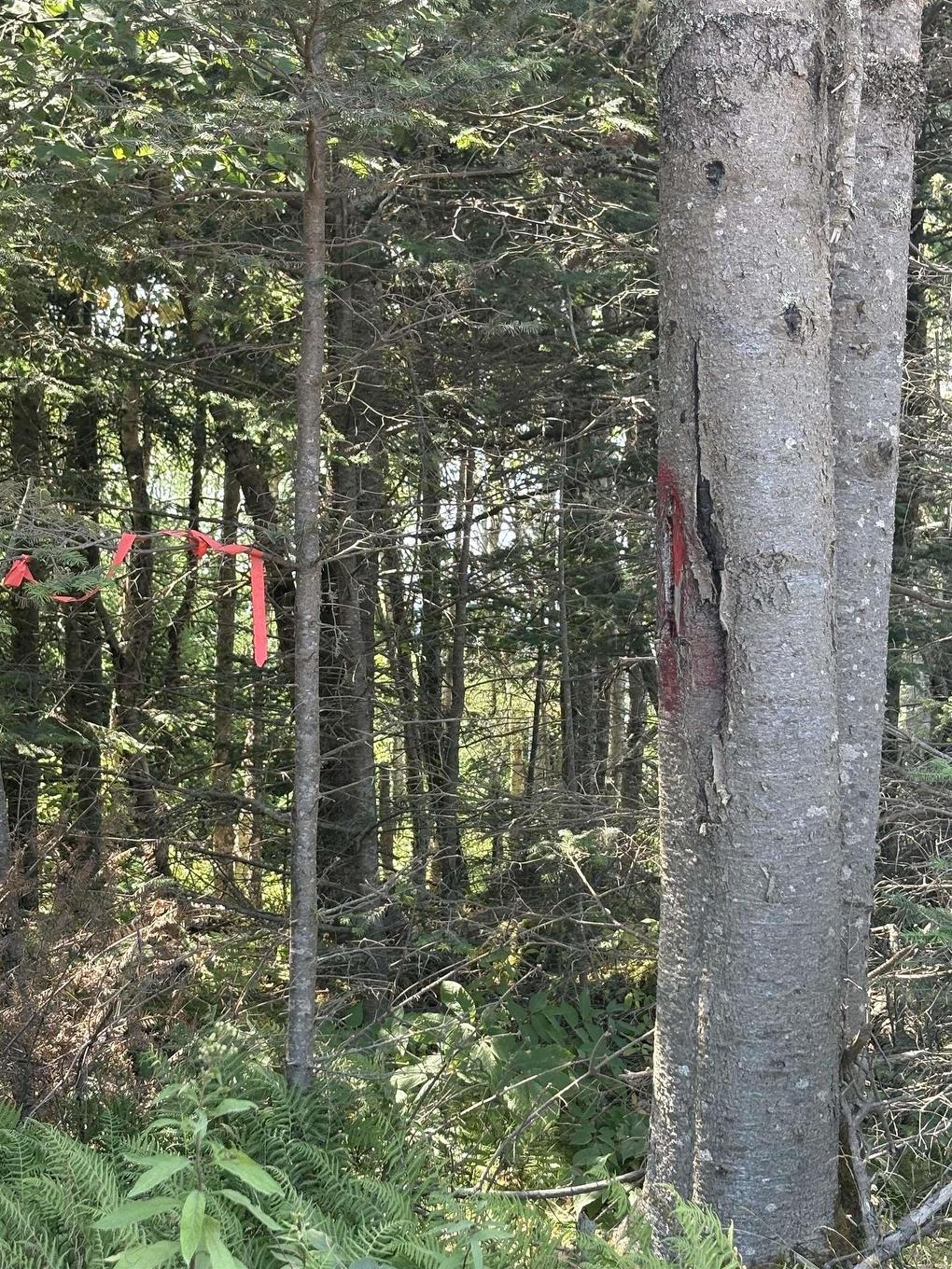 Lot 03-1 West Bay Road, West Bay, NS