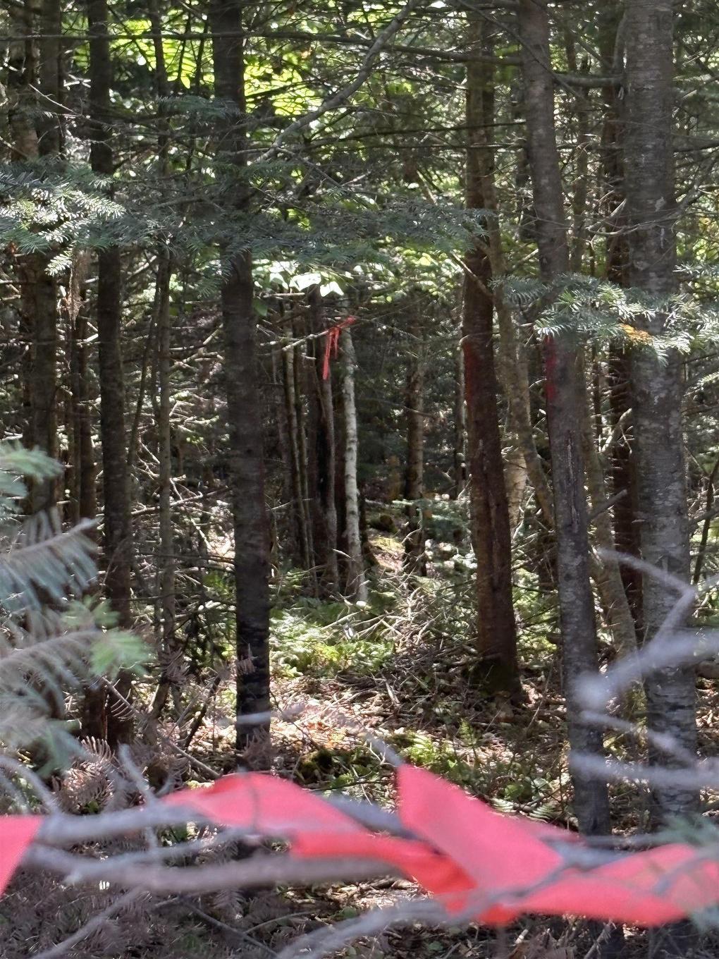 Lot 03-1 West Bay Road, West Bay, NS