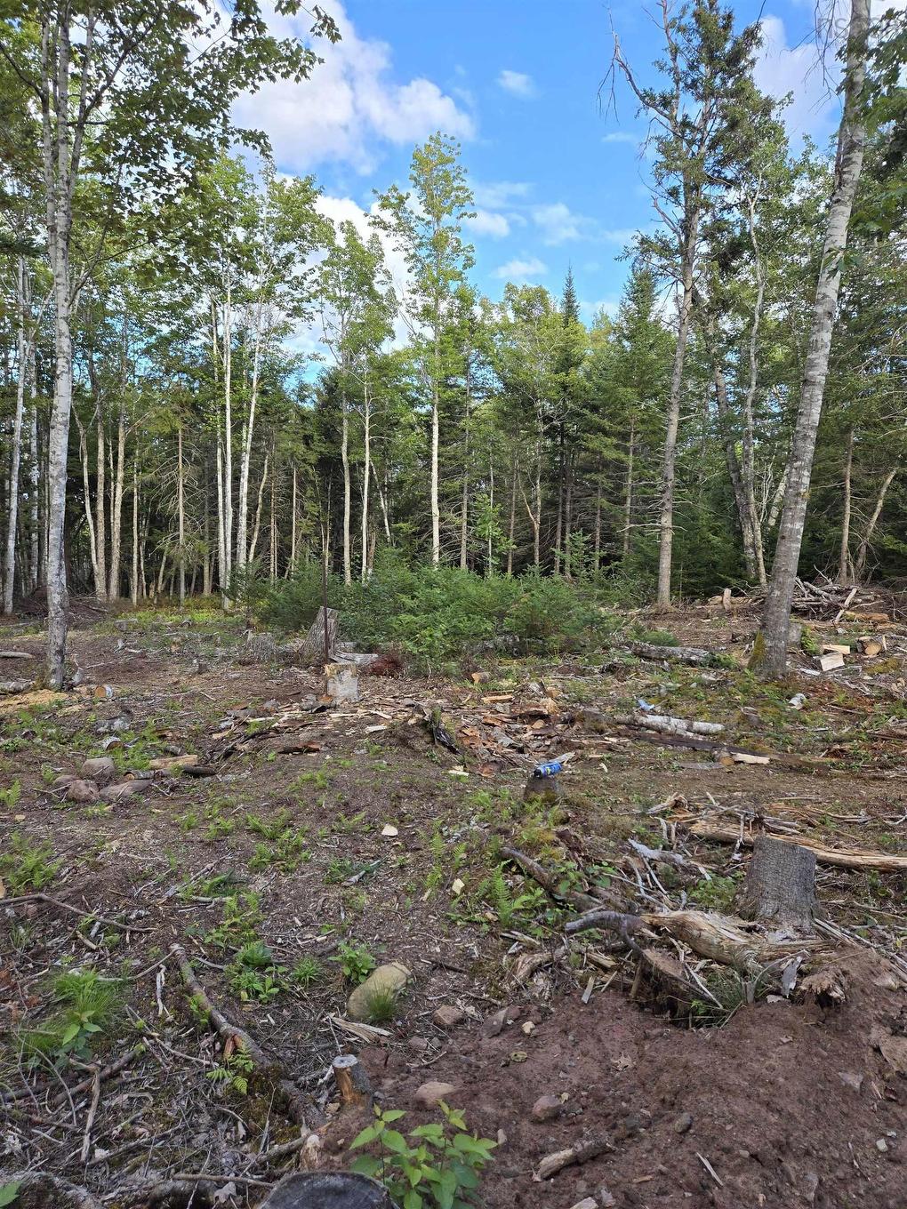 2820 Piedmont Valley Rd (10+/- Acres), Avondale, NS