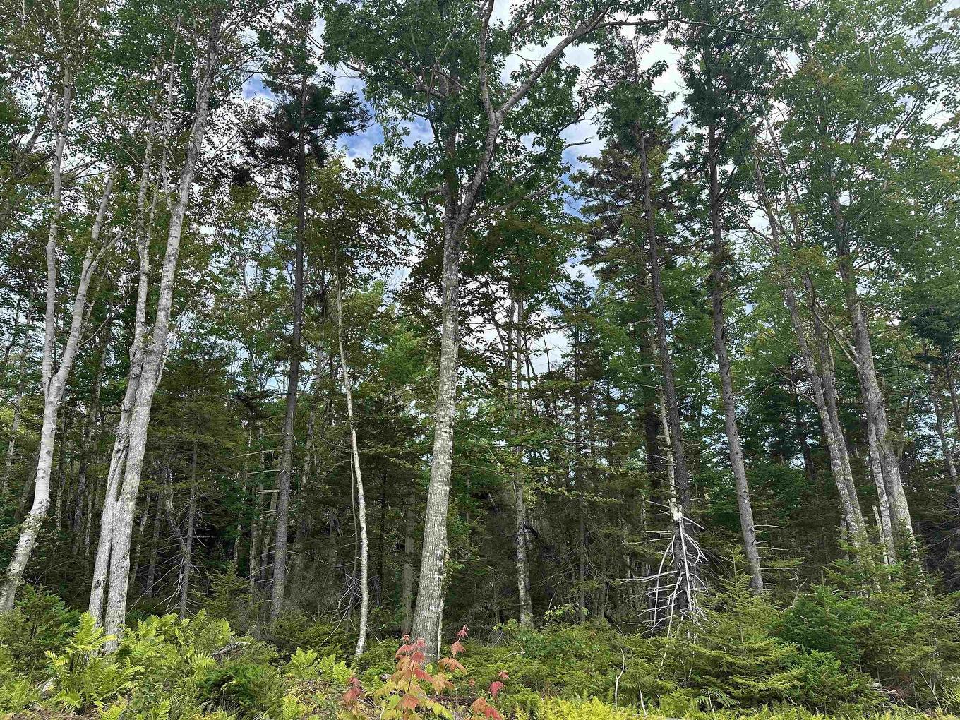 2820 Piedmont Valley Rd (10+/- Acres), Avondale, NS
