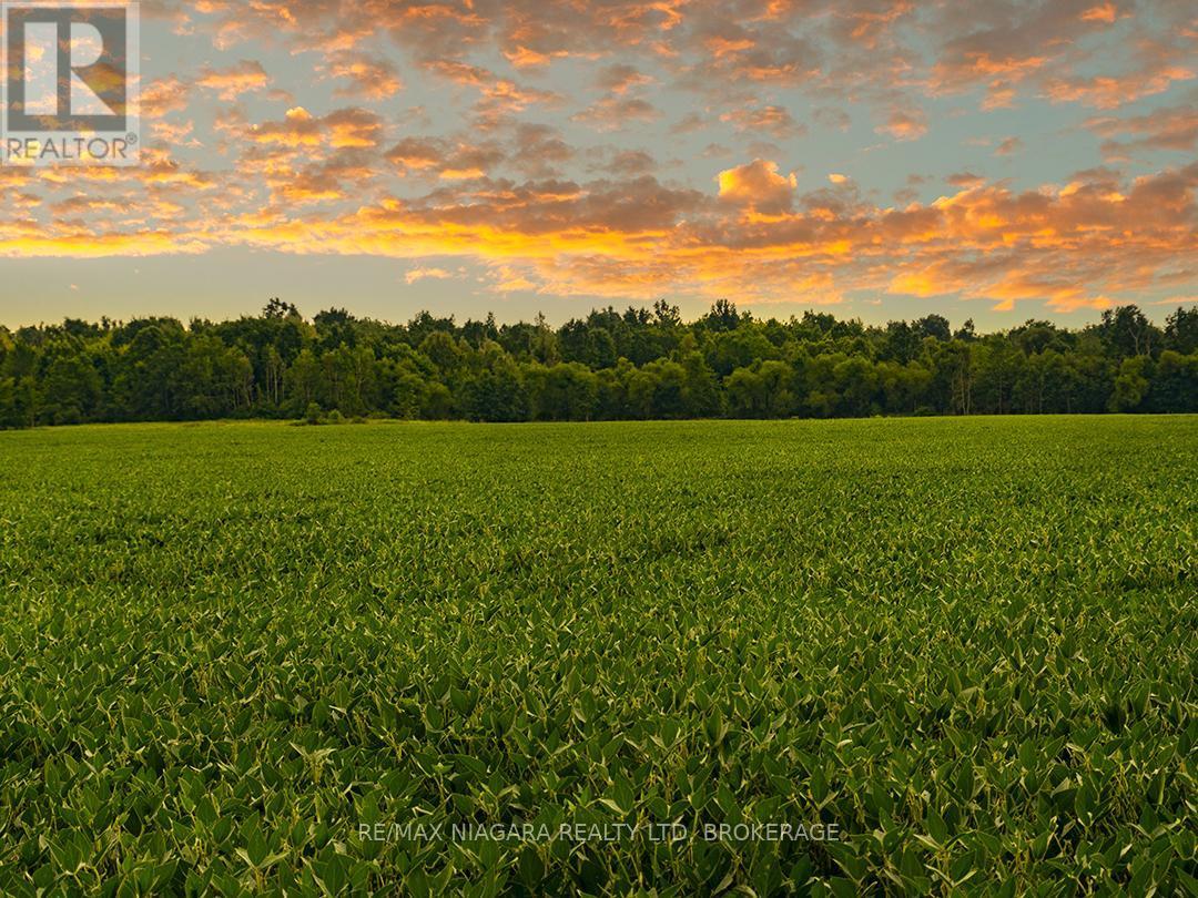 3481 Troup Road, Port Colborne (Bethel), ON - Outdoor With View