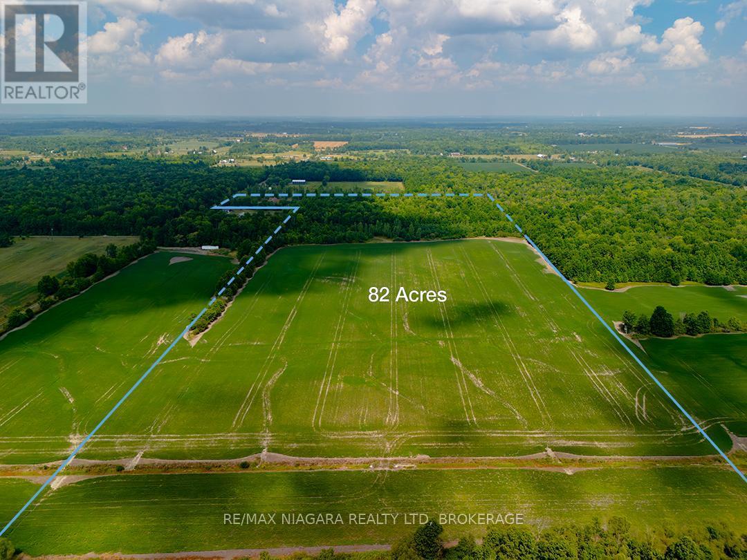 3481 Troup Road, Port Colborne (Bethel), ON - Outdoor With View