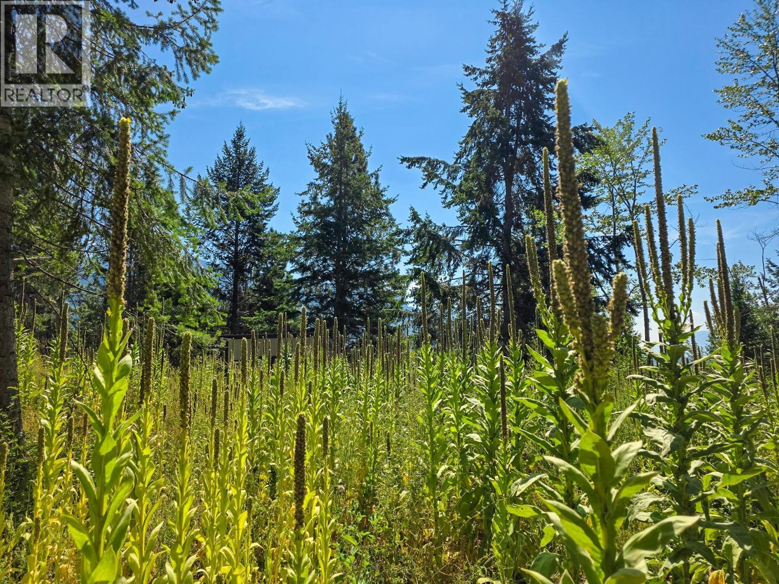 902 35 N Avenue, Erickson, BC